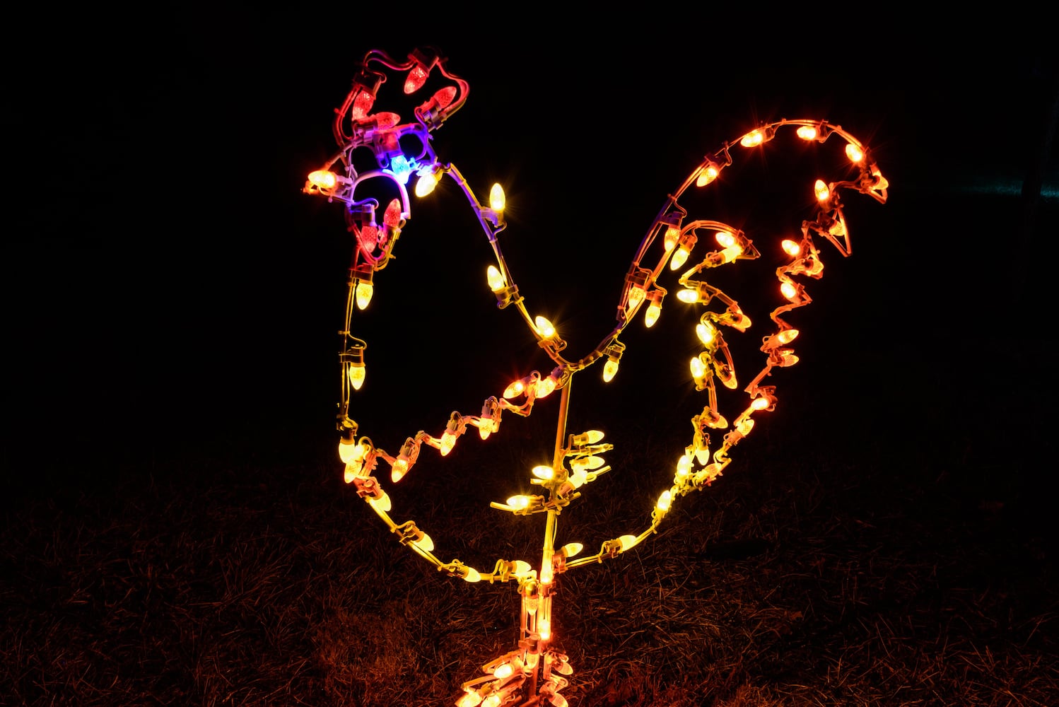 PHOTOS: ParkLights at Caesar Ford Park