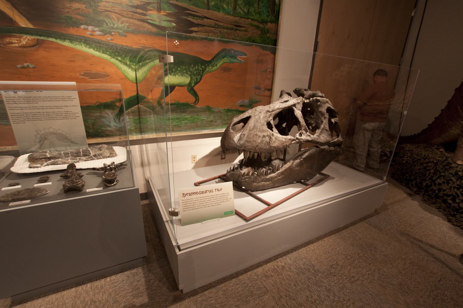 SNEAK PEEK: Here’s a glimpse inside Boonshoft’s brand new DINO attraction that’s got everyone excited