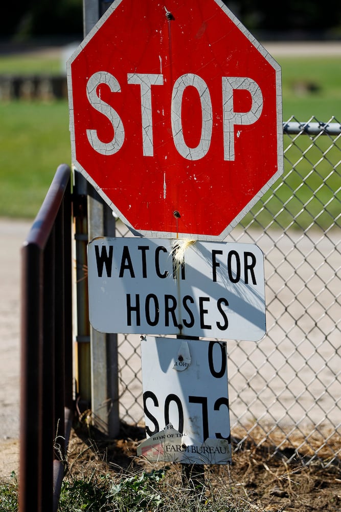 Dan Noble: Harness racer dominates track