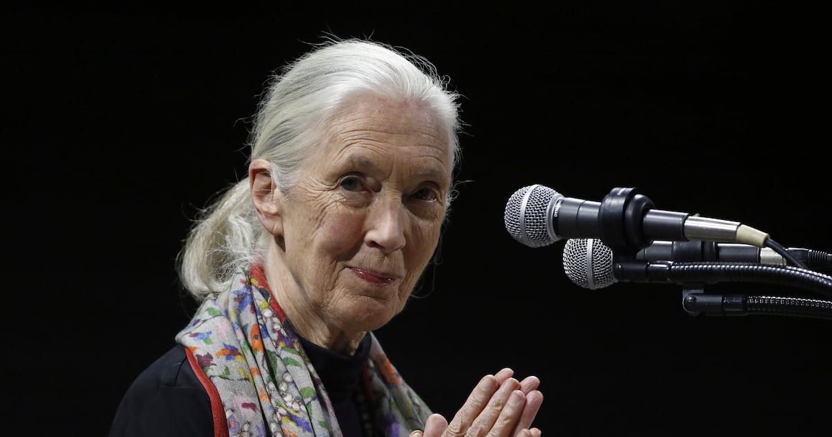 Environmentalists, politicians, celebrities recall life and influence of primatologist...