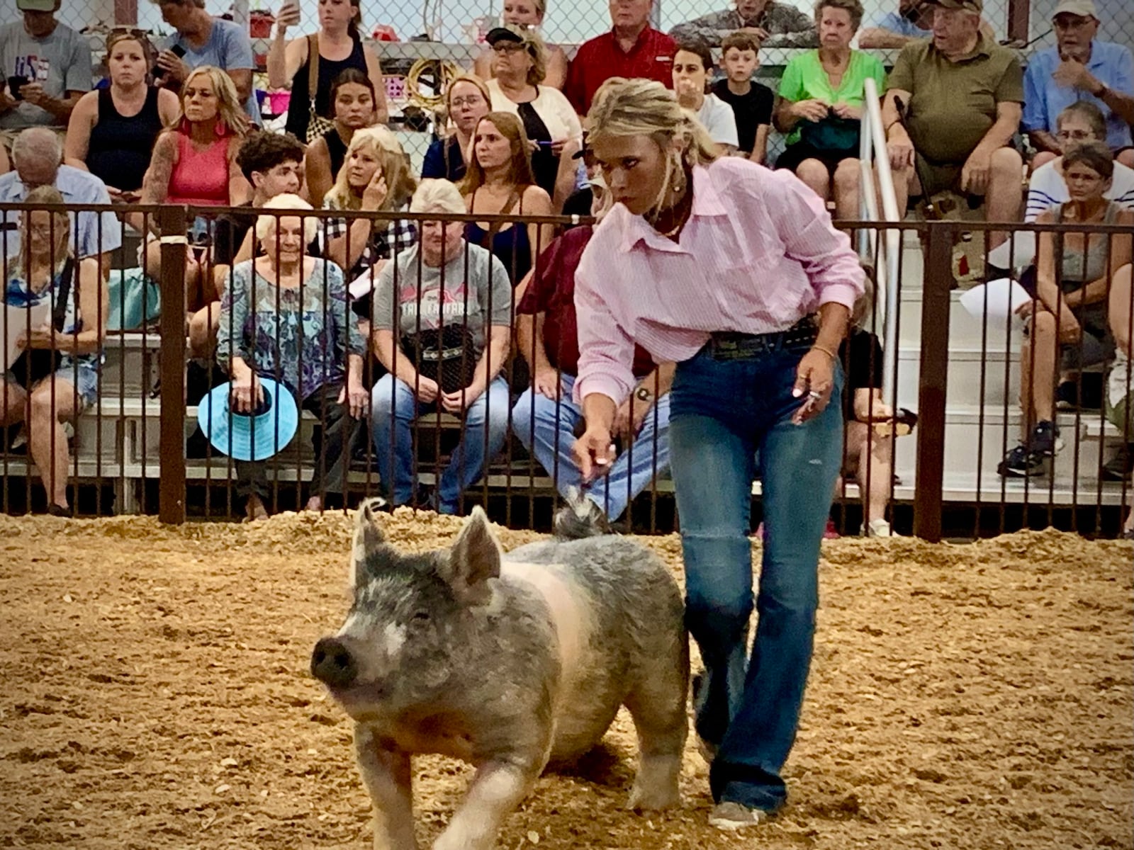 Sydnee Hawkins focuses during market hog competition at the Greene County Fair Tuesday, July 29, 2025. LONDON BISHOP/STAFF