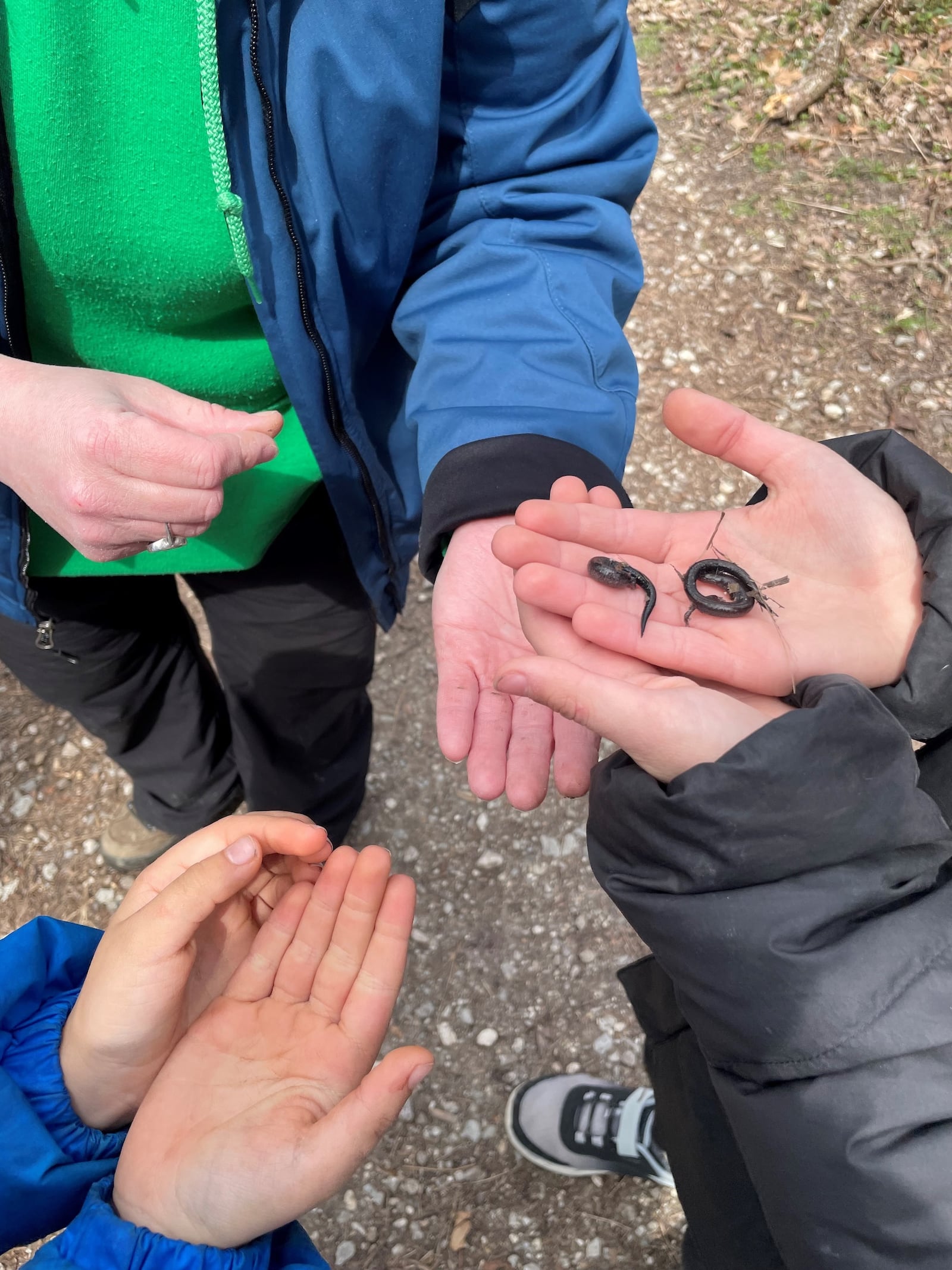 The signs of spring Conservation Kids program offers hand-on experience. CONTRIBUTED