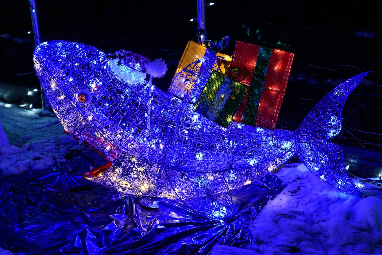 PHOTOS: Christmas Light Spectacular at Cedar Springs Pavilion