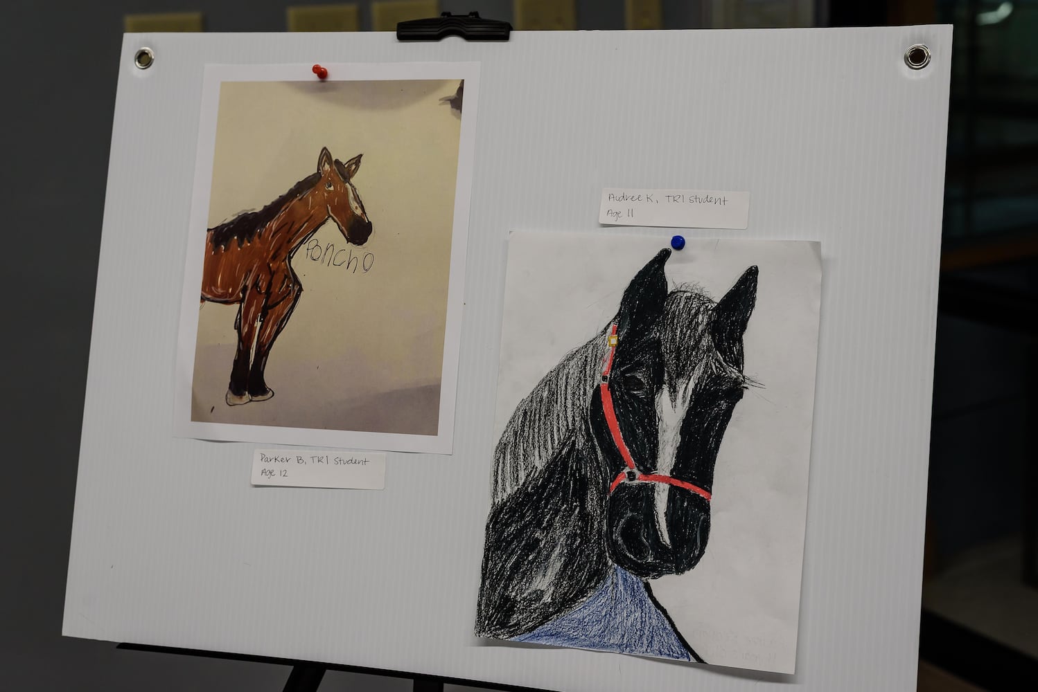 PHOTOS: SICSA's The PET Gala at The Modern College of Design