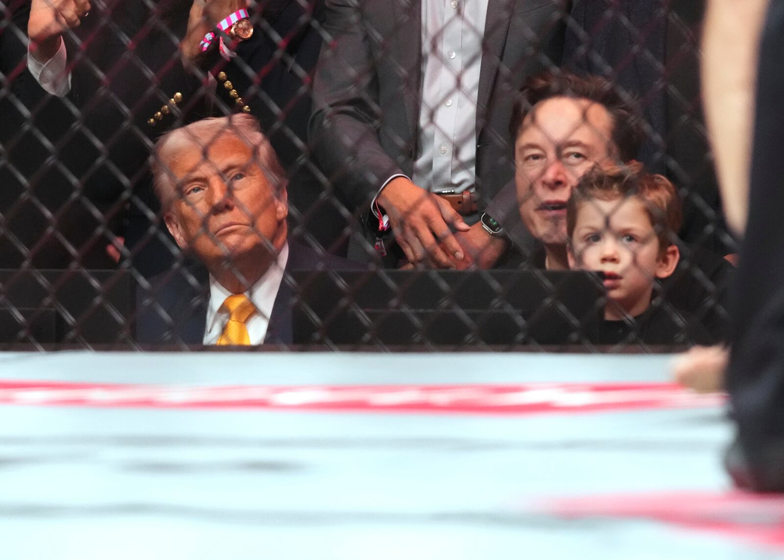 President Donald Trump, from left, Elon Musk, and his son X Æ A-Xii watch a mixed martial arts fight at UFC 314, Saturday, April 12, 2025, in Miami. (AP Photo/Lynne Sladky)
