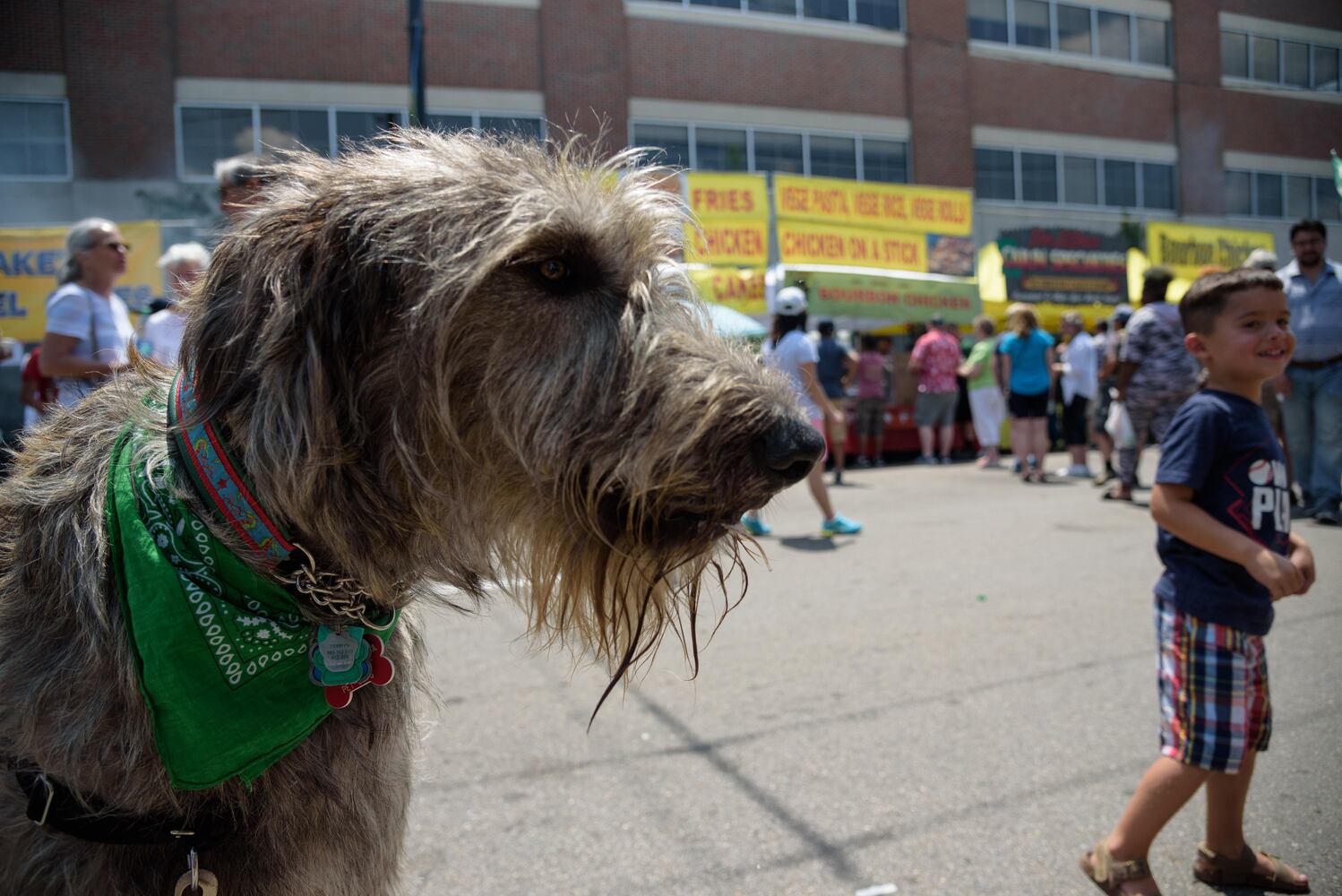 PHOTOS: Did we spot you at Celtic Festival in downtown Dayton?