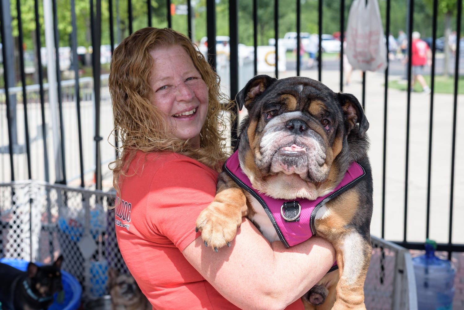 PHOTOS: 2025 Bites in the Heights at Rose Music Center