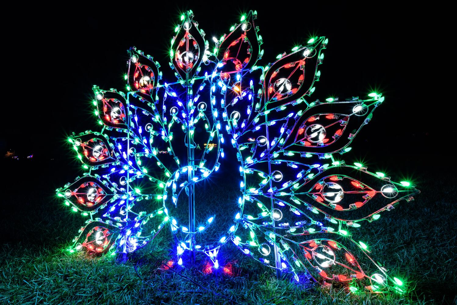 PHOTOS: ParkLights 2024 at Caesar Ford Park