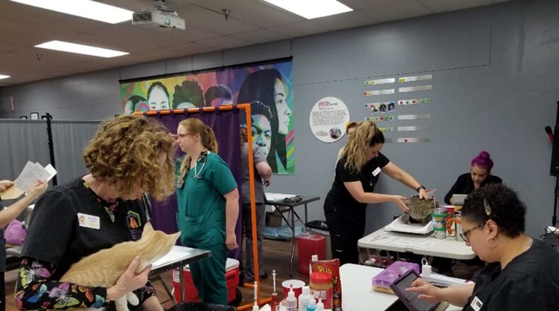 SICSA pet clinic | PROVIDED