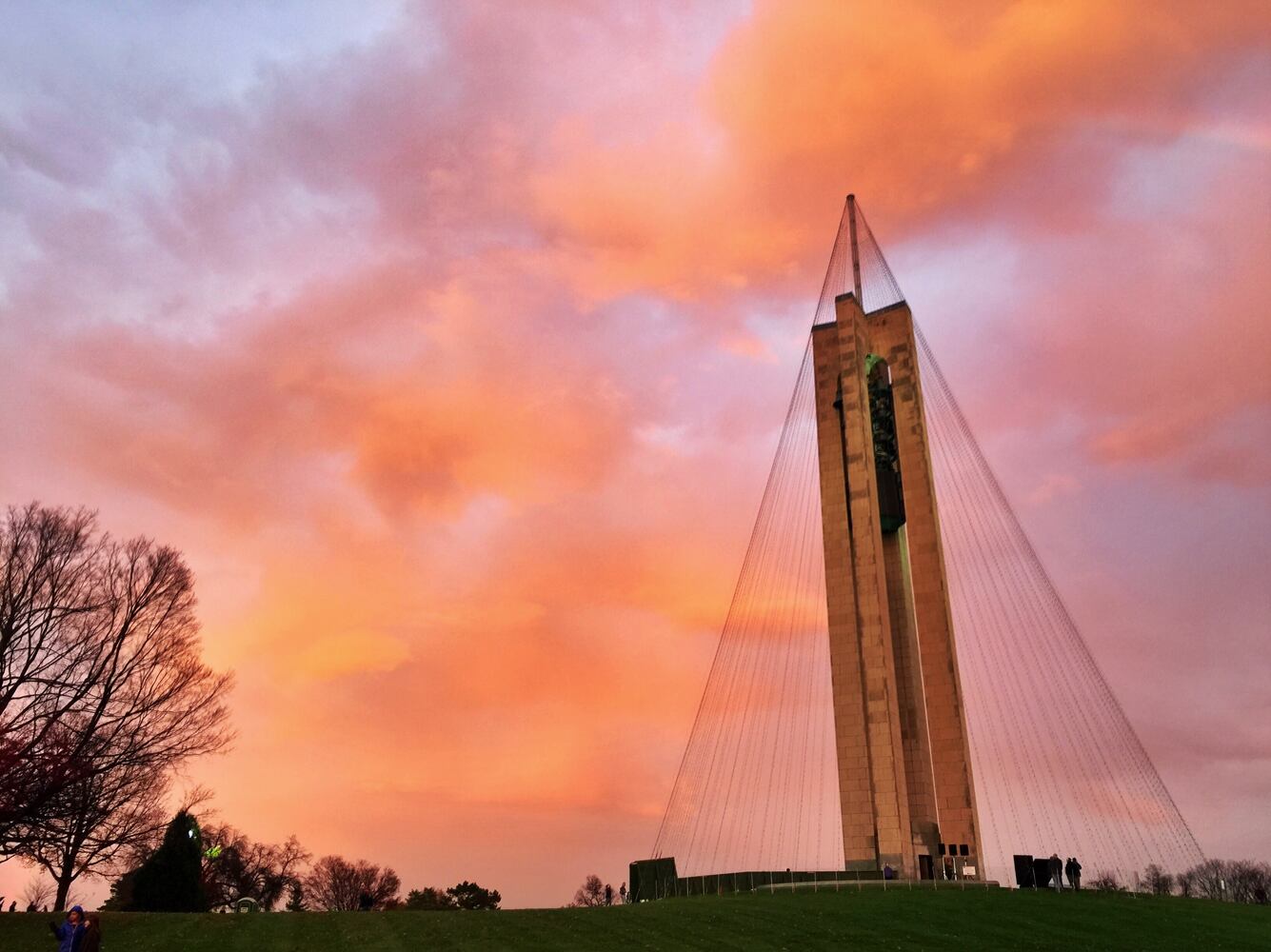 PHOTOS: Carillon Tree of Light 2016