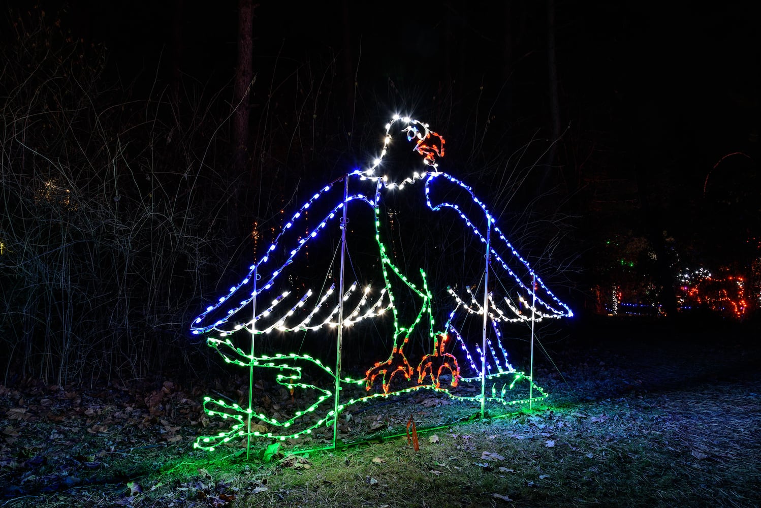 PHOTOS: A walk through Woodland Lights in Washington Township