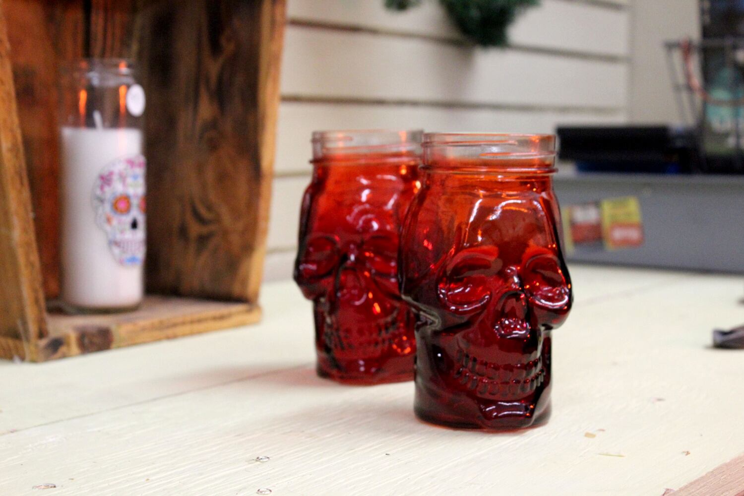 Photos: The Secret Chamber  House of Oddities and Art