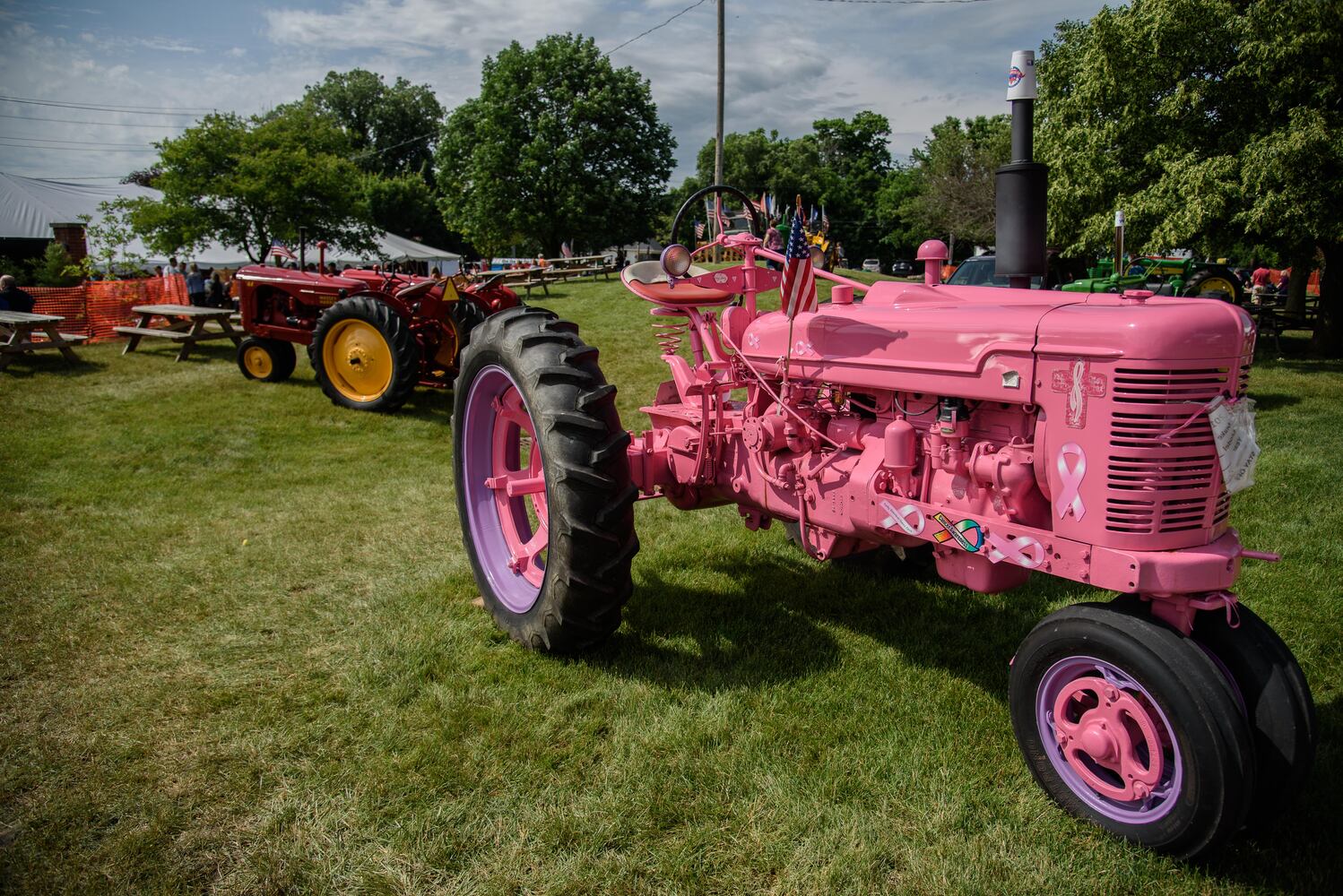 PHOTOS: 2018 Versailles Poultry Days