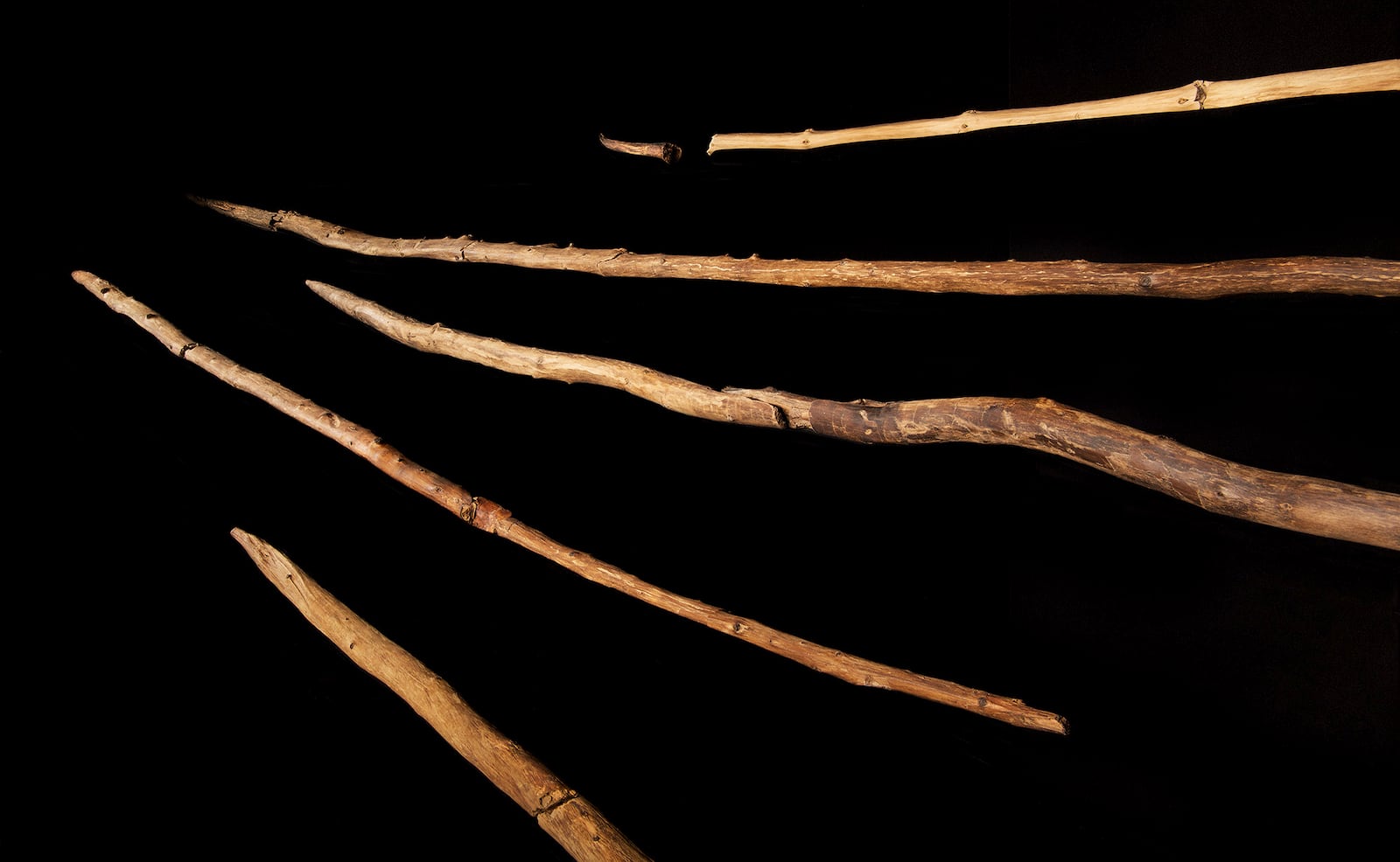 This 2014 photo provided by researchers shows a set of wooden hunting spears estimated to be about 200,000 years old discovered in a coal mine in the German town of Schöningen. (Volker Minkus/Niedersächsisches Landesamt für Denkmalpflege via AP)