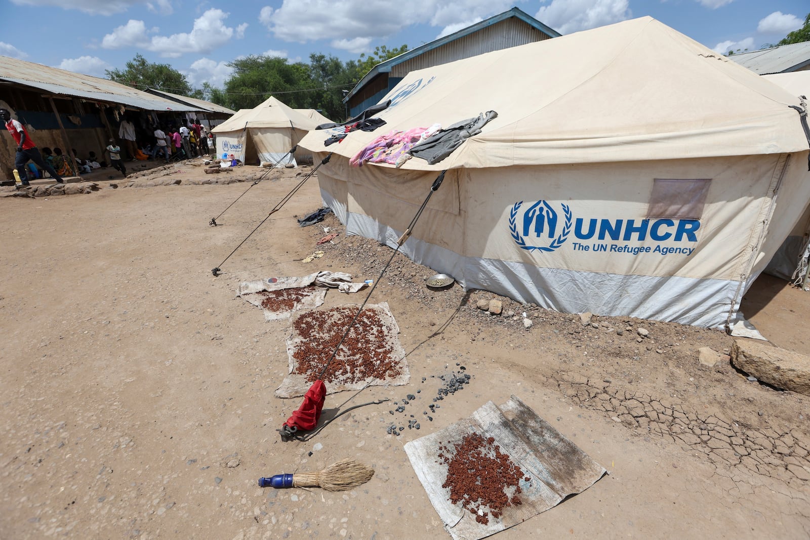 Cooked sorghum dried by the UN tents hosting refugees at the Kakuma Refugee Camp in Turkana County, Kenya, Wednesday, June 4, 2025. (AP Photo/Andrew Kasuku)
