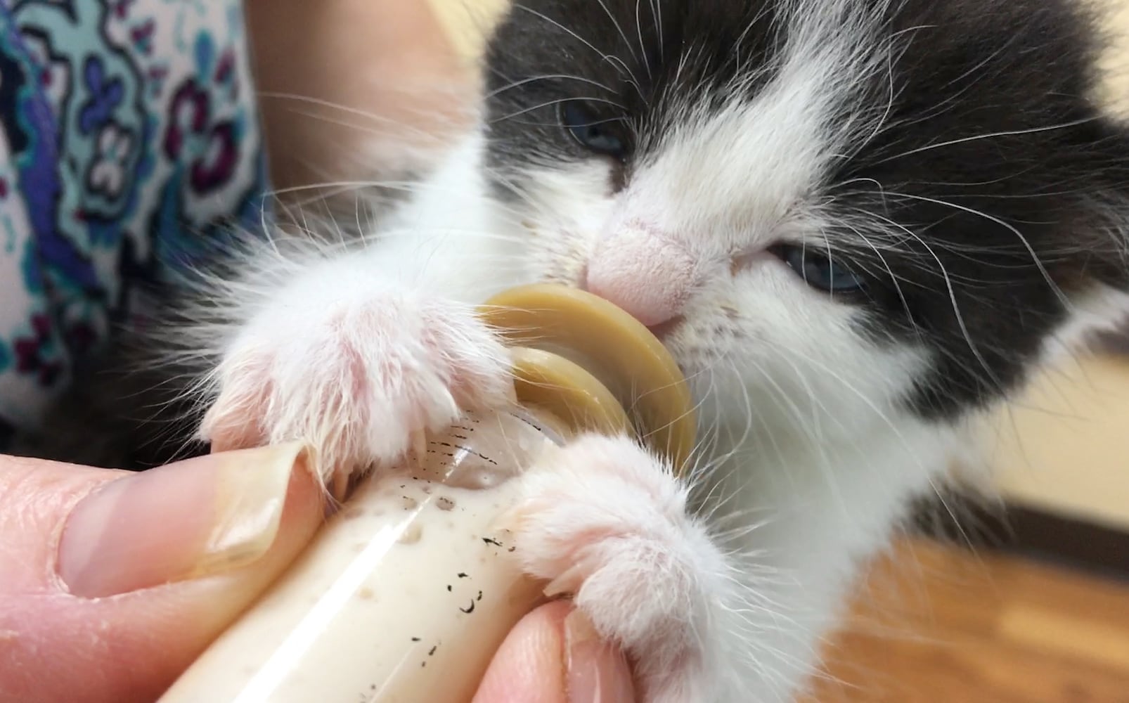 Photos: