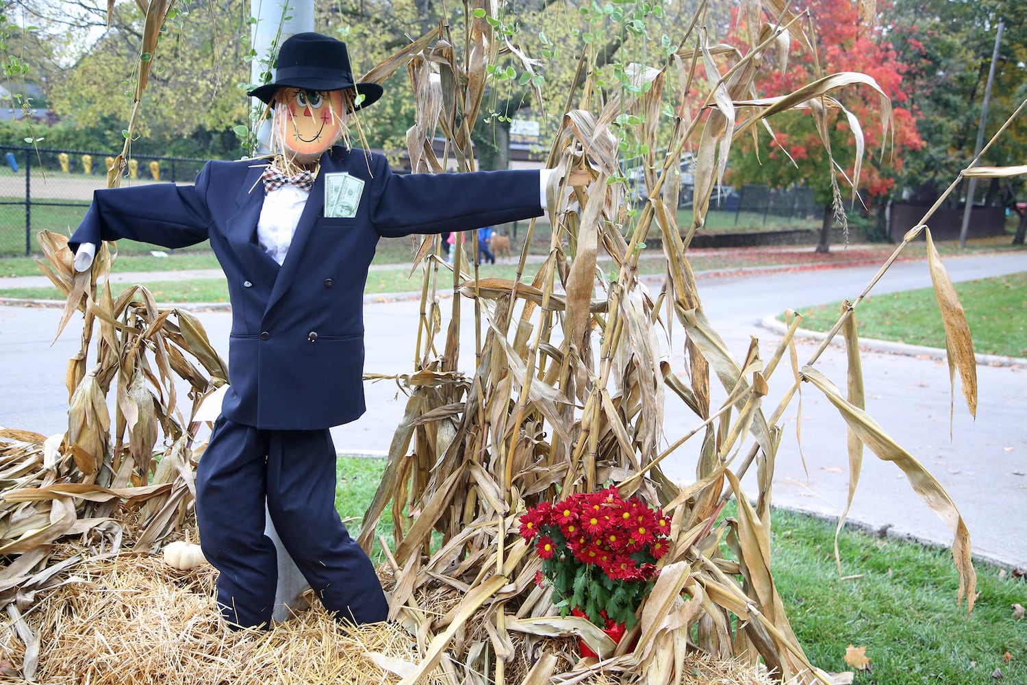 PHOTOS: ‘I’ll take murder hornets for $200 Alex,’ Oakwood’s Scarecrow Row displays creative Halloween fun