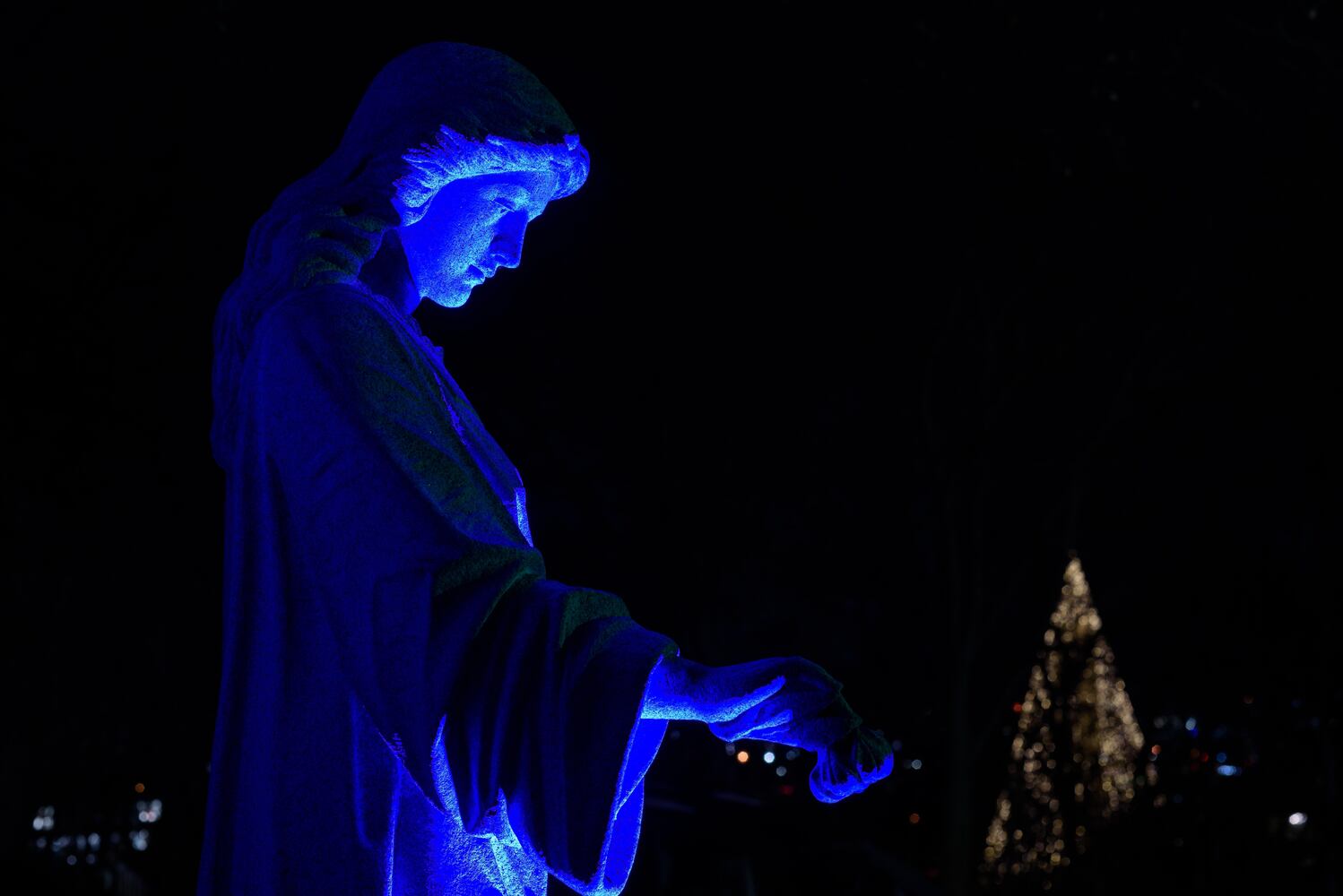 PHOTOS: Angel Night at Calvary Cemetery