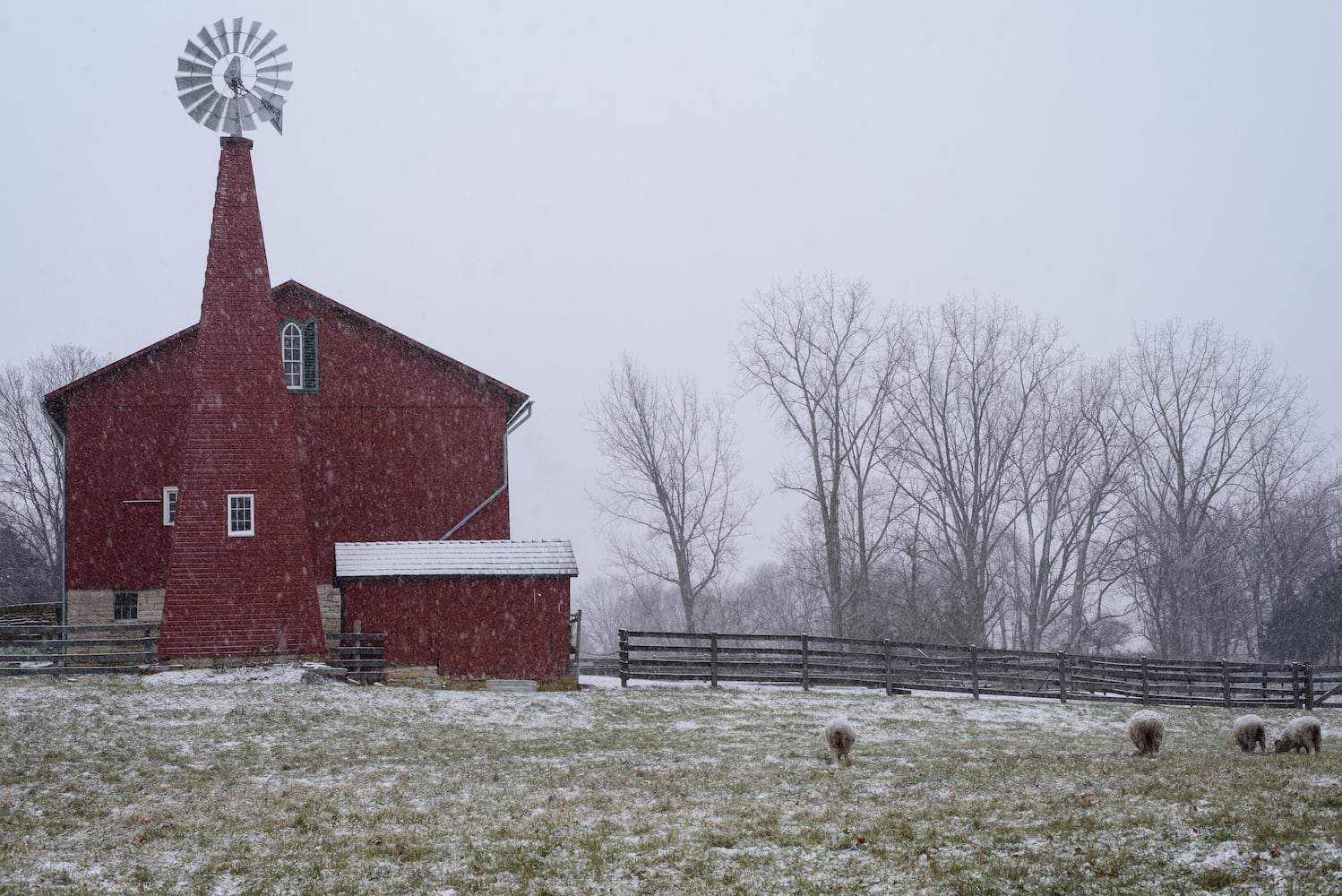 PHOTOS: 2025 Christmas on the Farm at Carriage Hill MetroPark