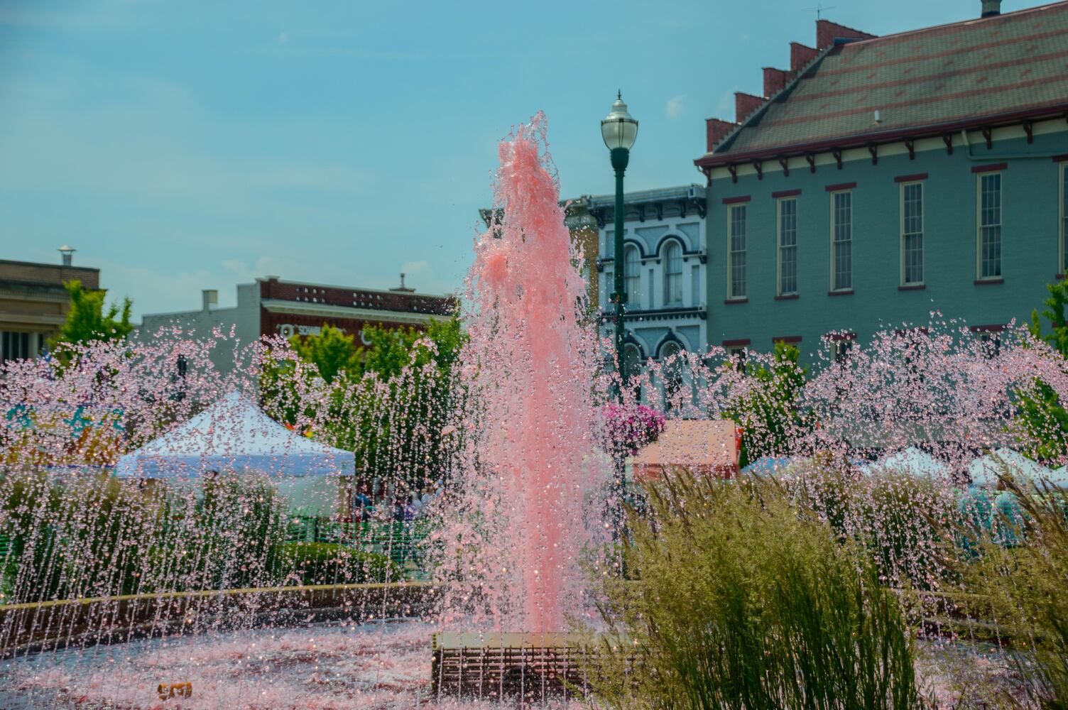 PHOTOS: Troy Strawberry Festival 2017