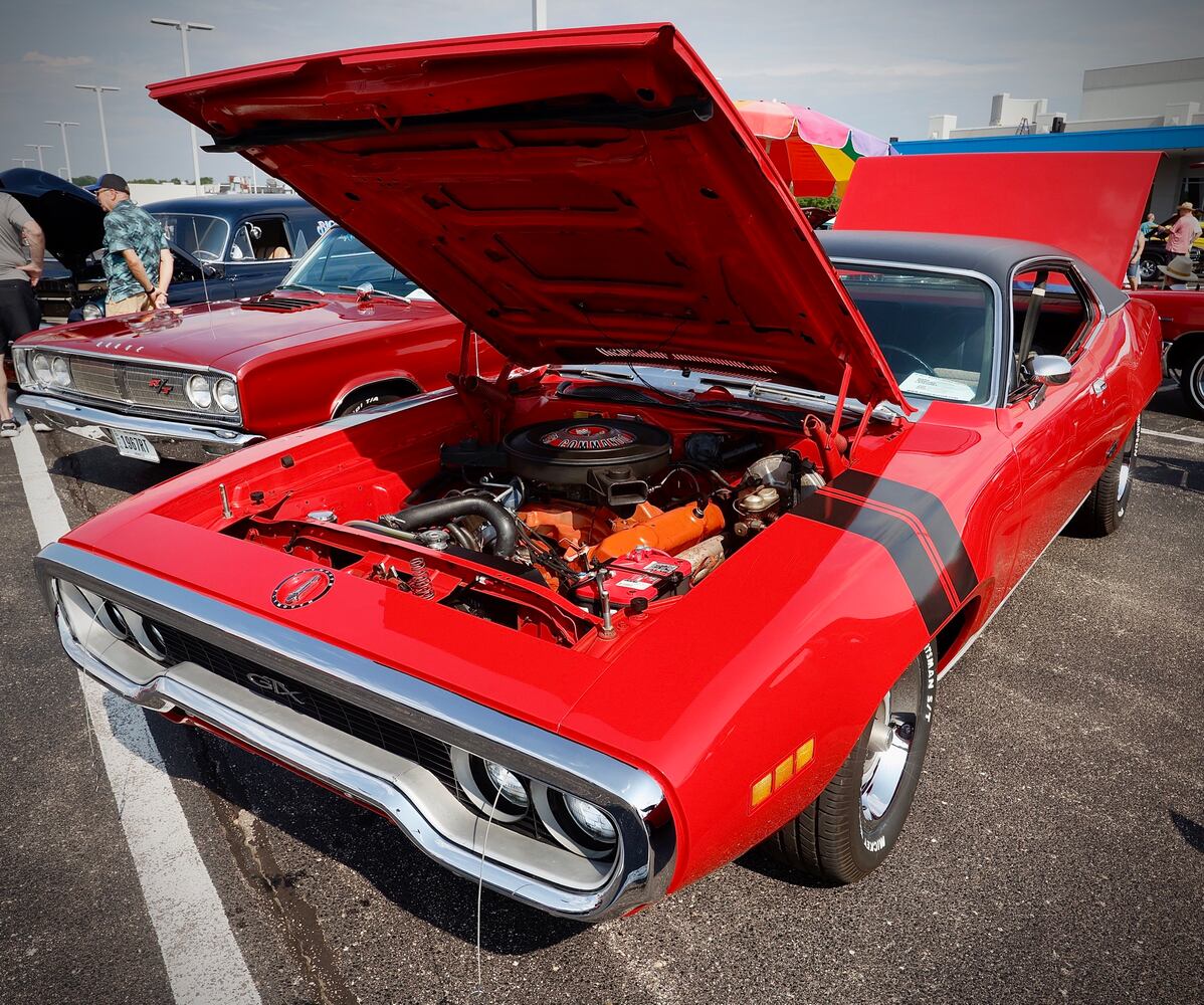 Cruise in