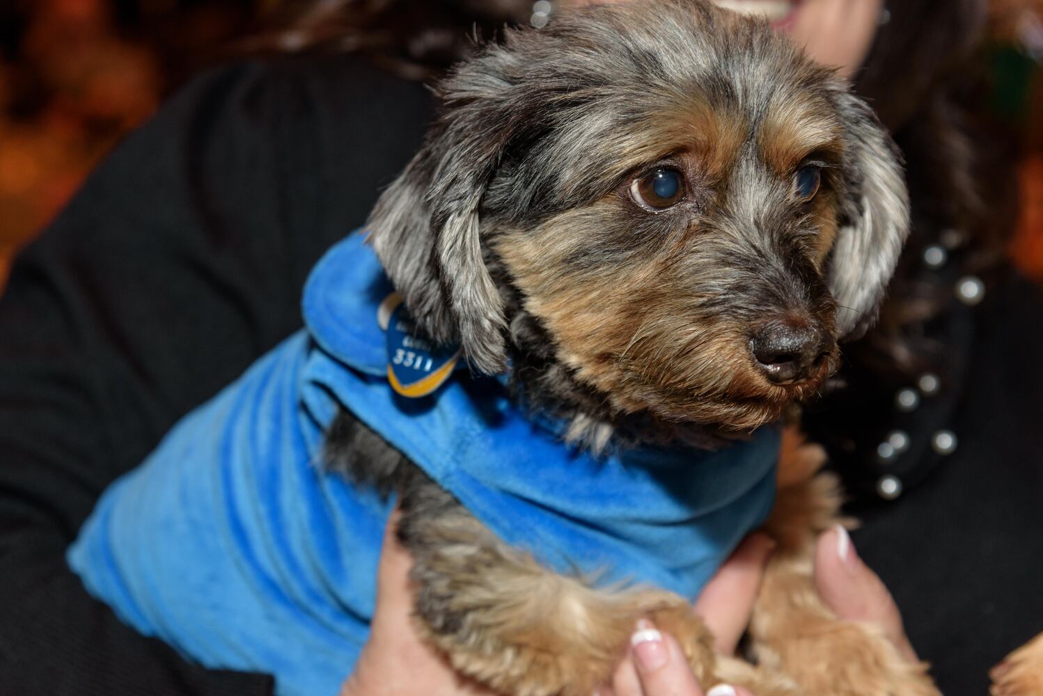 PHOTOS: Did we spot you at the Pet Afflaire Gala at the Dayton Arcade?