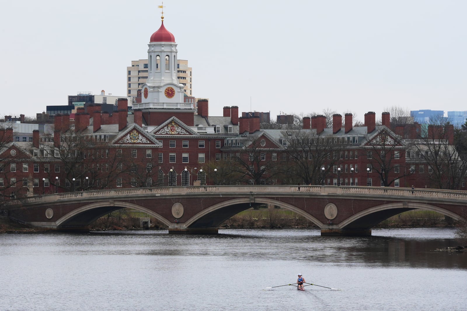 FILE - A sculler rows down the Charles River near Harvard University, at rear, April 15, 2025, in Cambridge, Mass. (AP Photo/Charles Krupa, File)