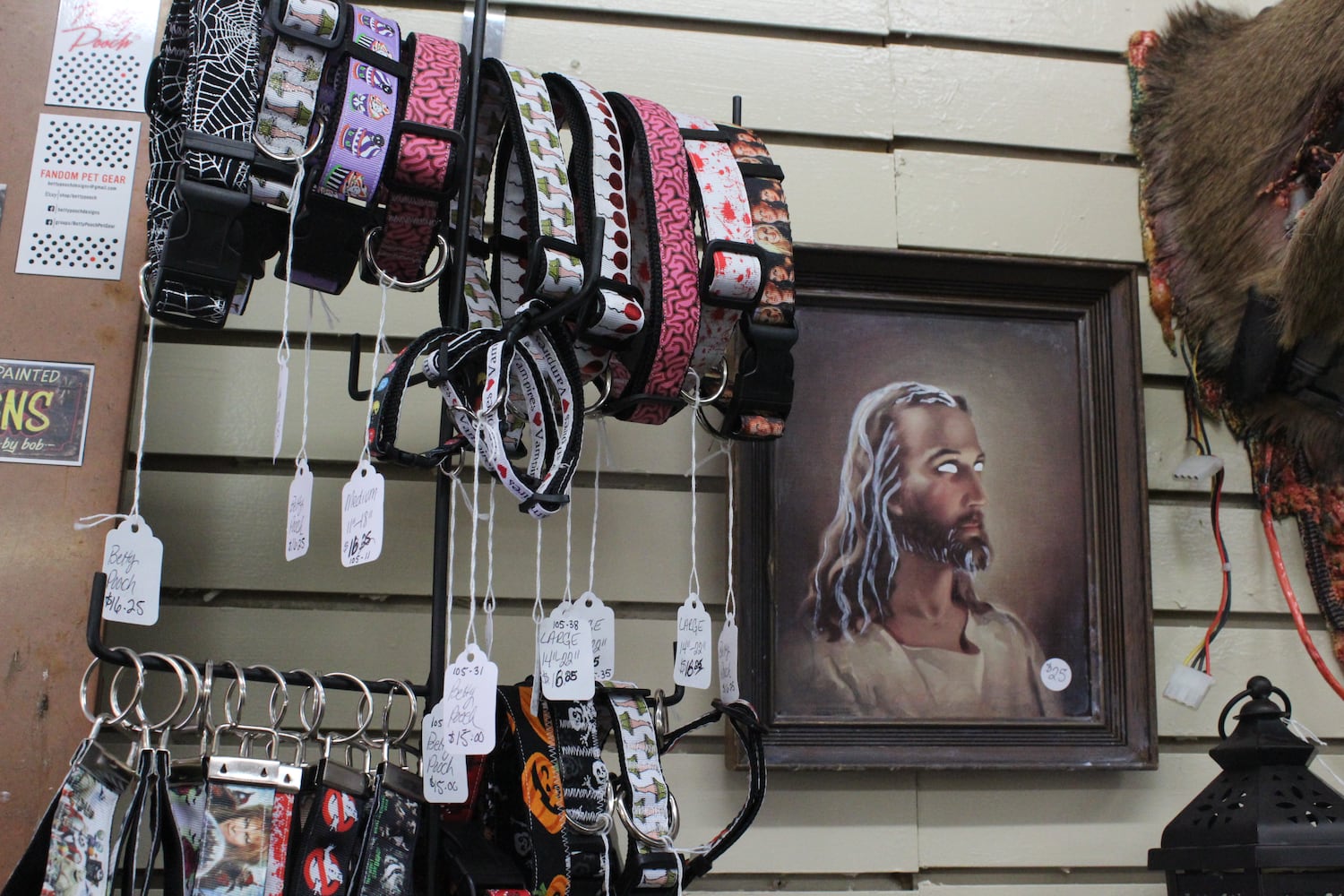 Photos: The Secret Chamber  House of Oddities and Art