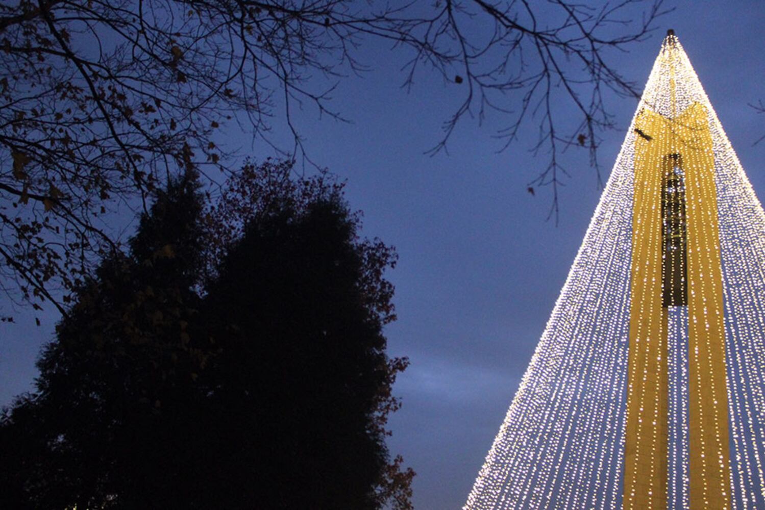 Tree or Lights at Carillon Historical Park