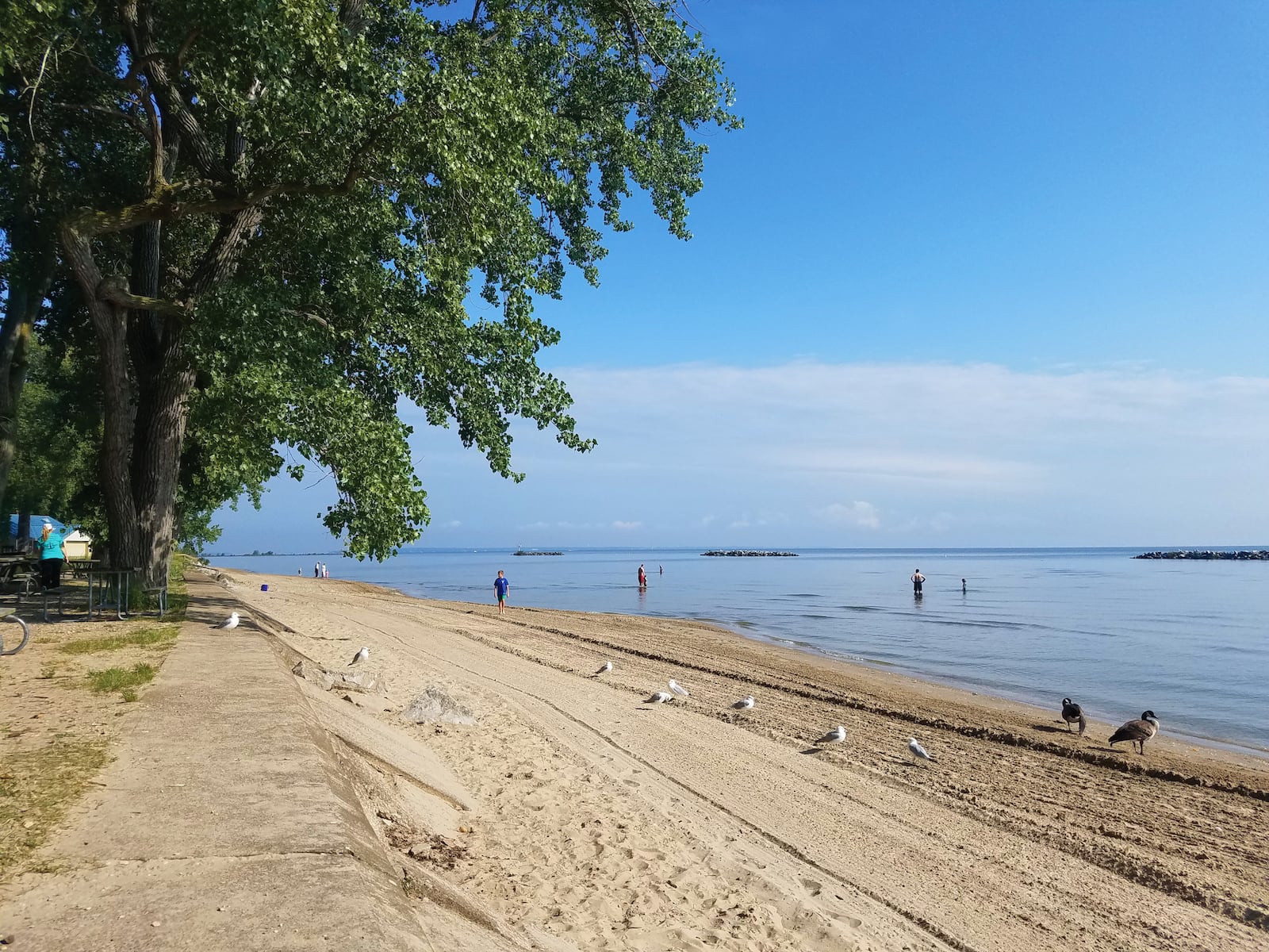 Looking for a quick escape close to home? The Lake Erie shoreline offers gorgeous beaches like East Harbor Beach. CONTRIBUTED/LAKE ERIE SHORES & ISLANDS