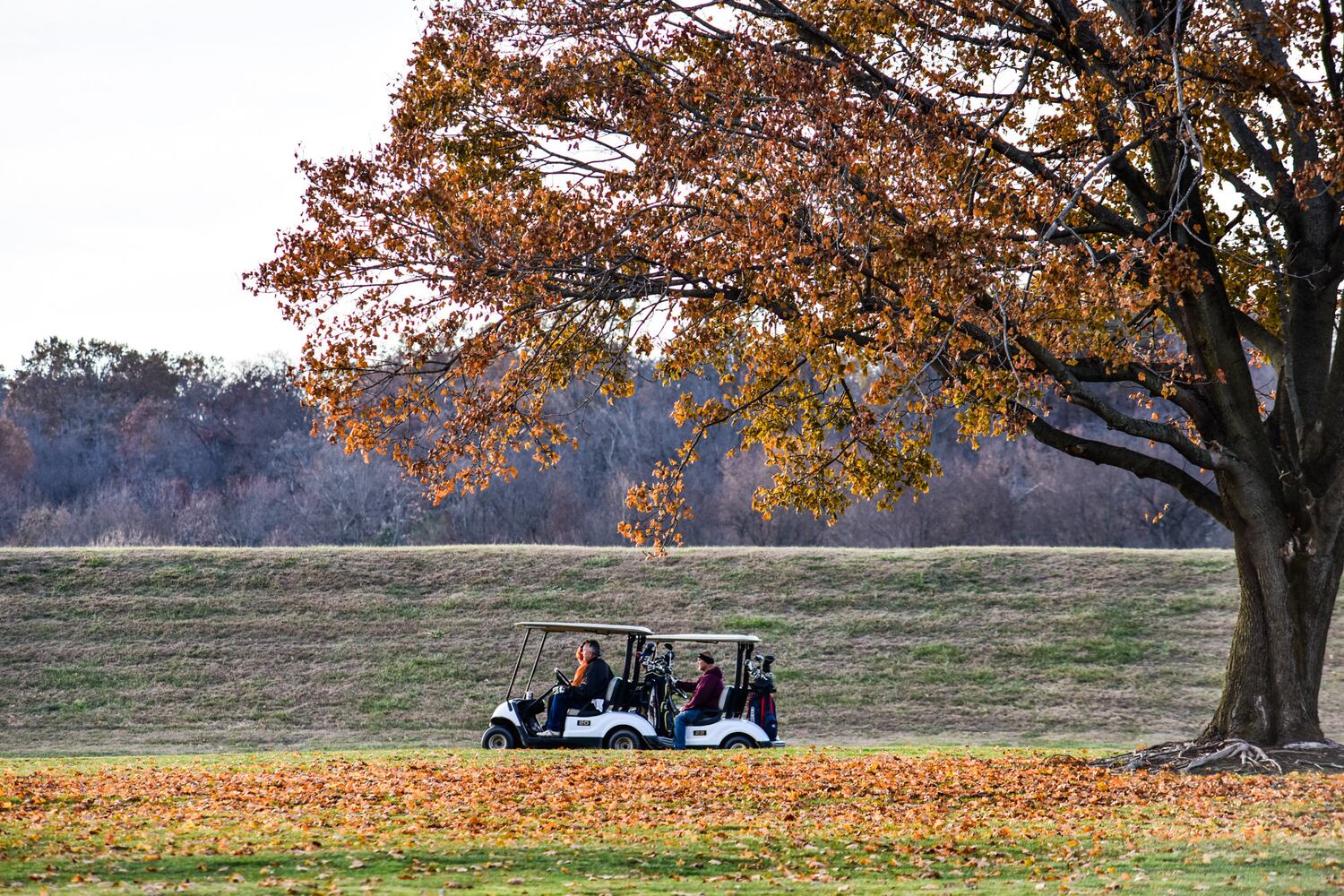 Vue 791 restaurant open at Forest Hills Country Club in Middletown