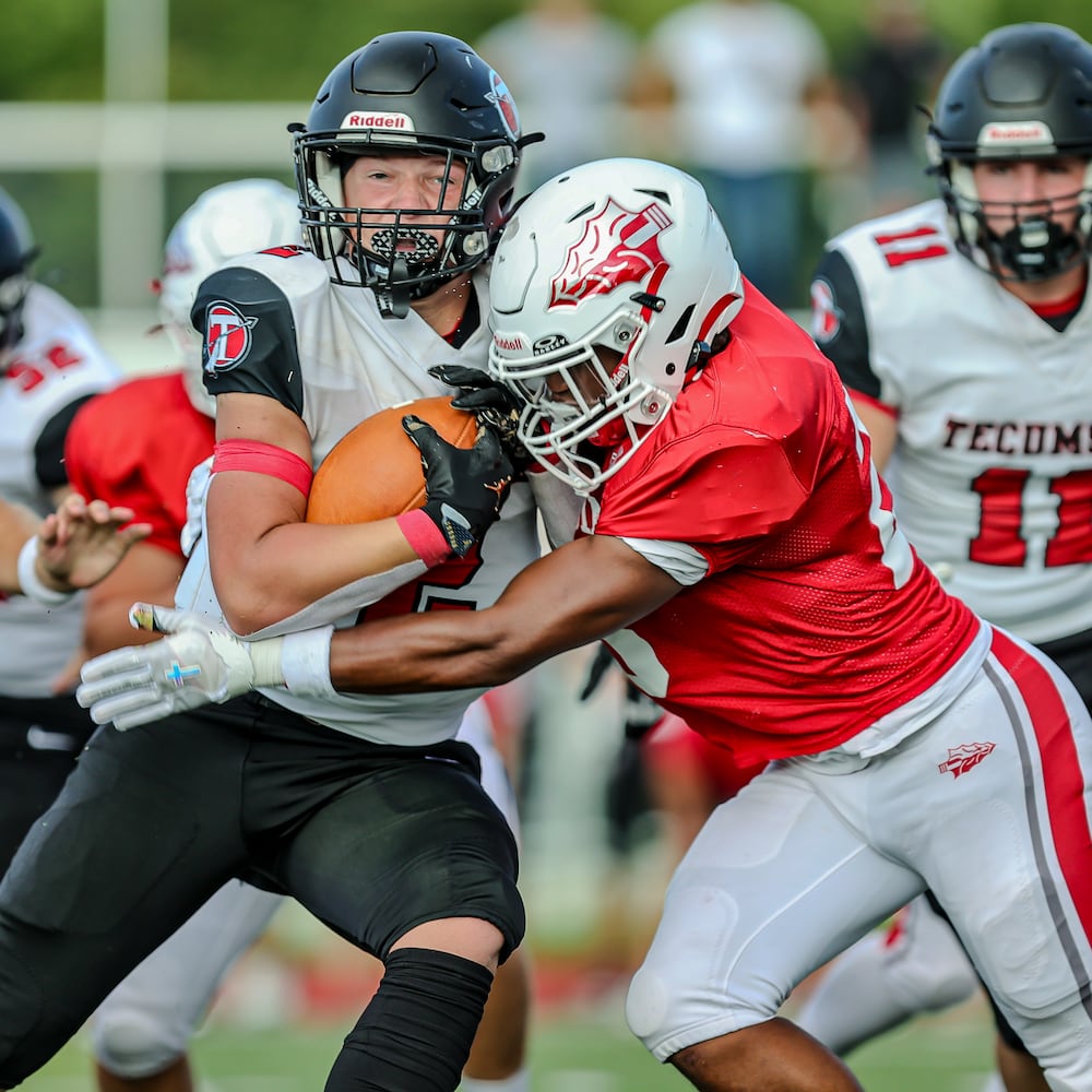stebbins tecumseh hsfb