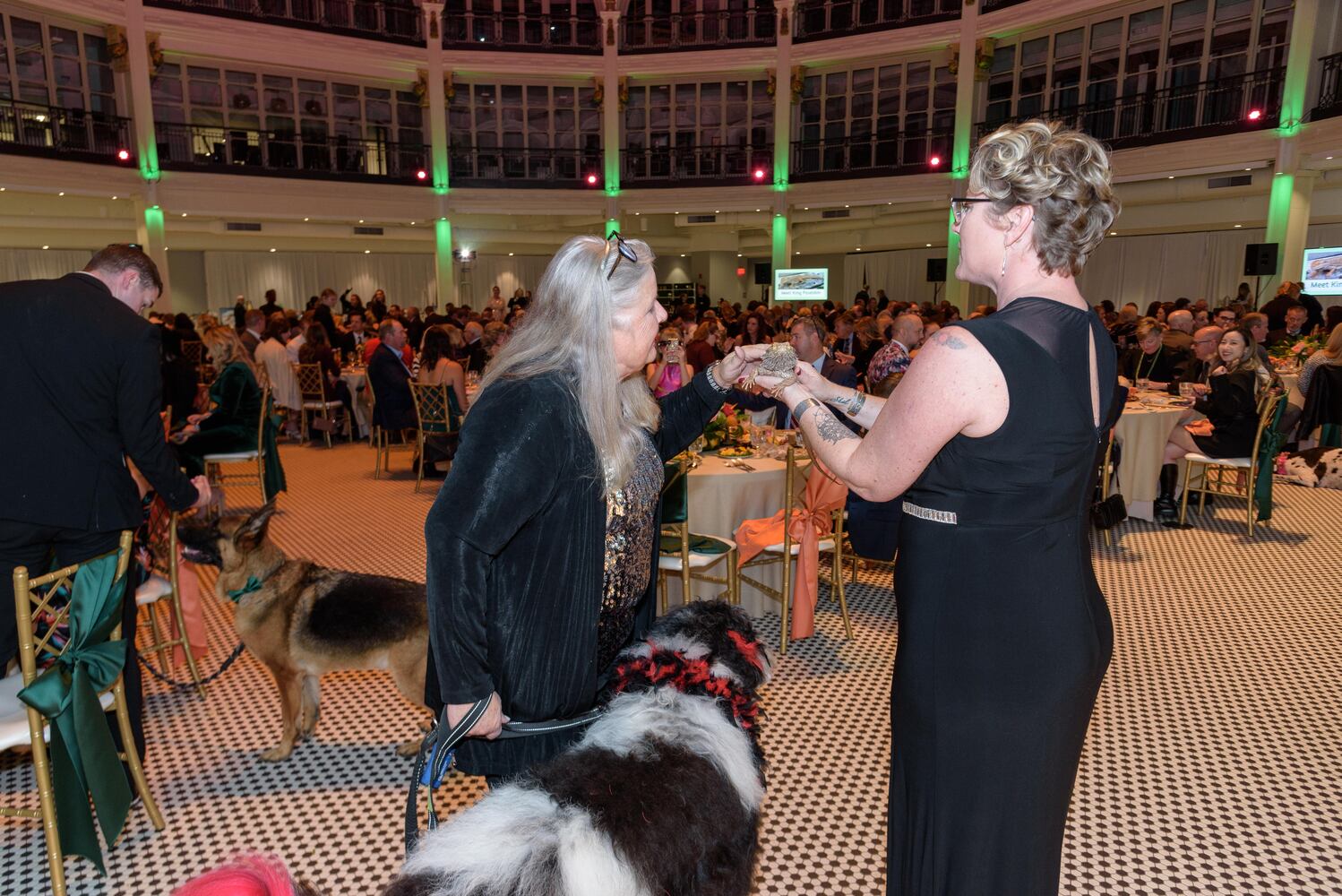 PHOTOS: Did we spot you at the Pet Afflaire Gala at the Dayton Arcade?