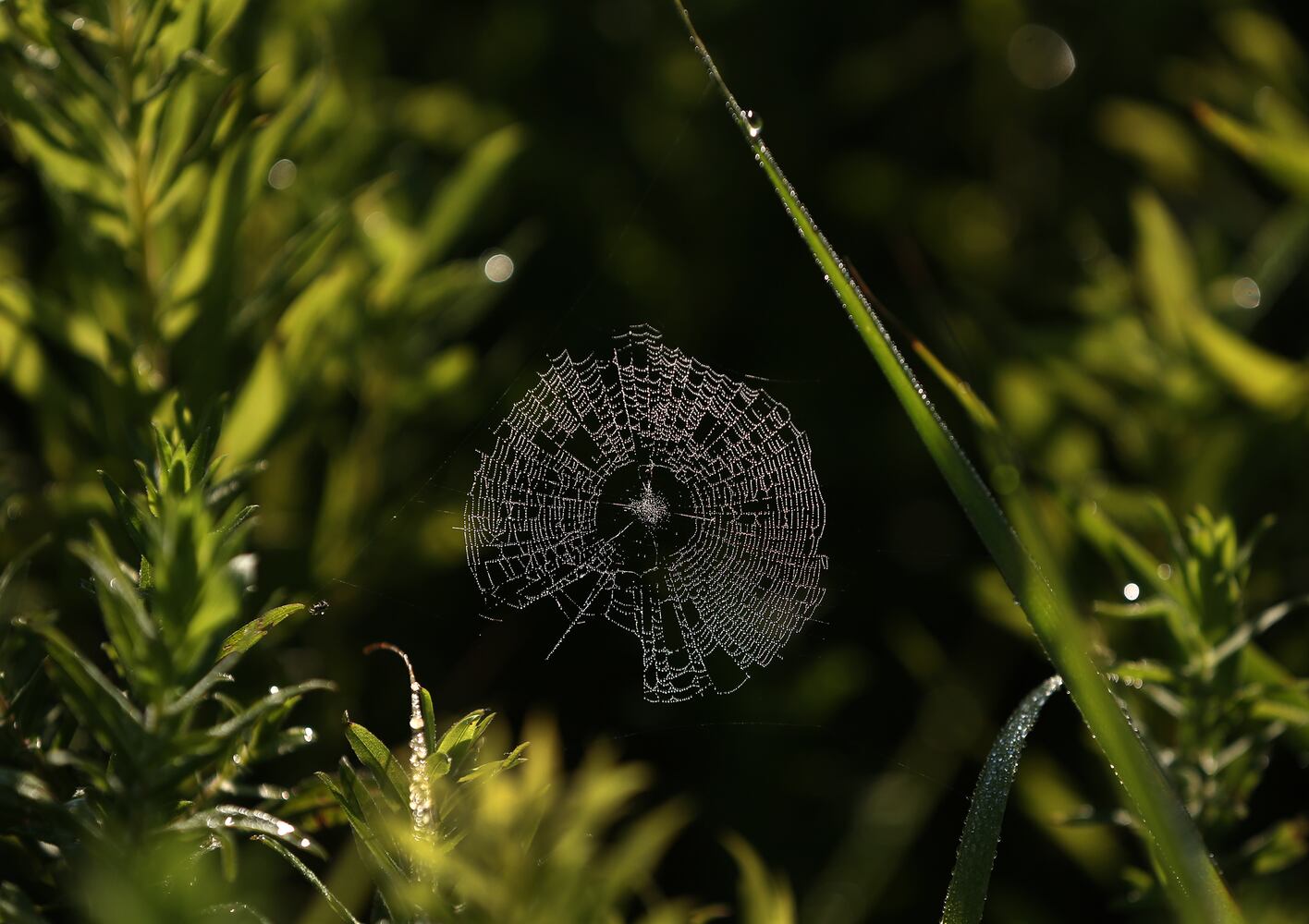 PHOTOS: Huffman Prairie State Natural Landmark is a ‘palette of many colors’