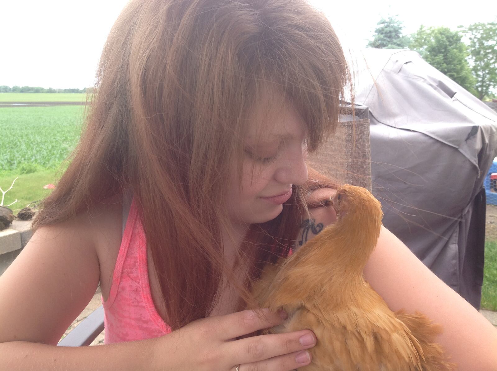 Brittany Villotti holds one of the 20 chickens she and husband Luke, a disabled Marine uses as support animals to help him cope with injuries he sustained in the military. "We spend a lot of time taking care of them," Brittney said. "I love them as much as he does." (Denise Crosby/The Beacon-News/TNS)