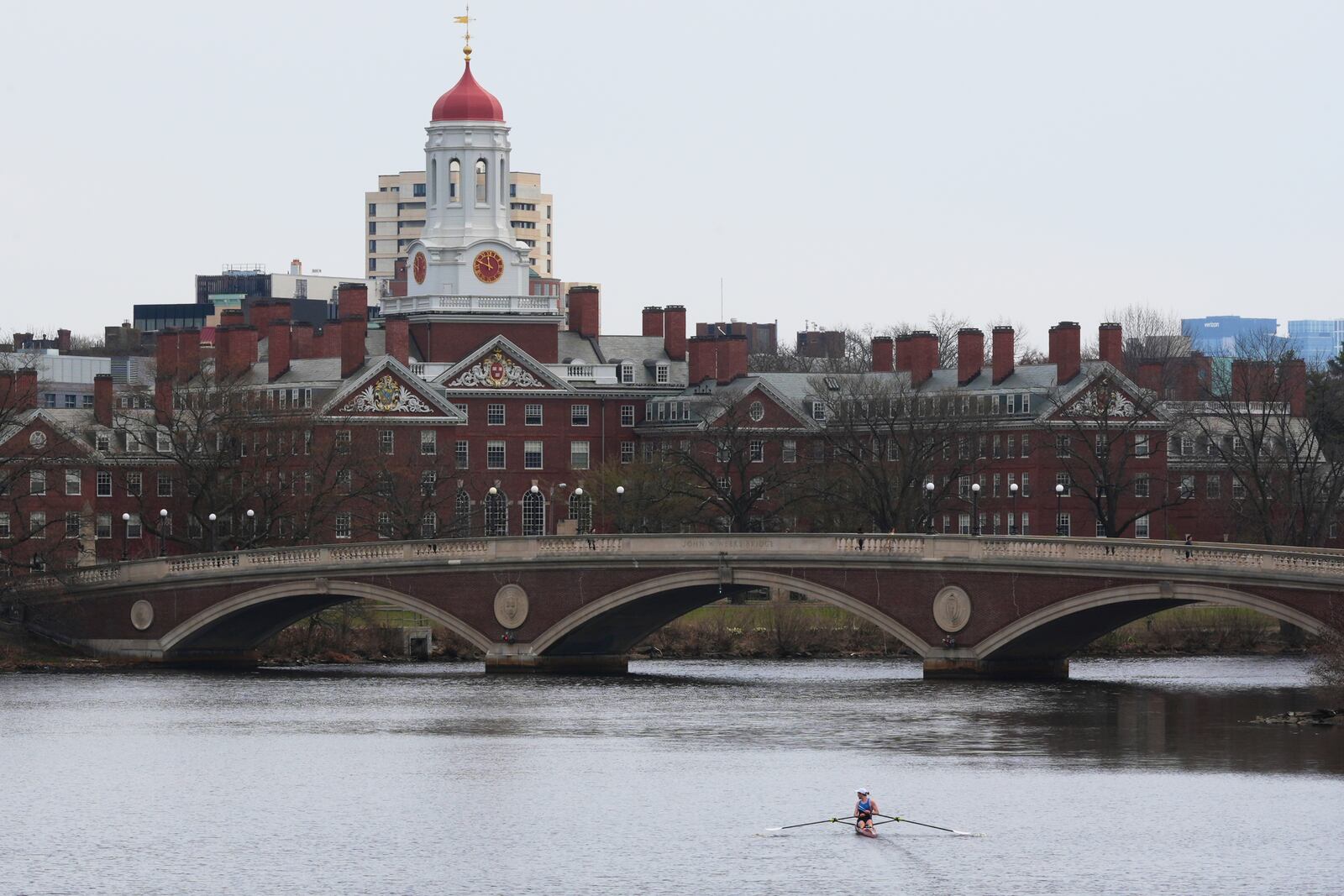 A sculler rows down the Charles River near Harvard University, at rear, Tuesday, April 15, 2025, in Cambridge, Mass. (AP Photo/Charles Krupa)