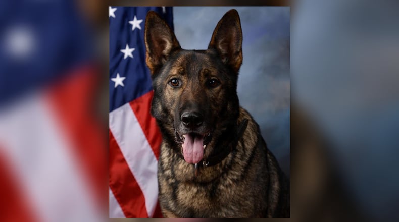 Dayton police announced the death of retired K9 Baron on Wednesday, June 28, 2023. Photo courtesy Dayton Police Department.