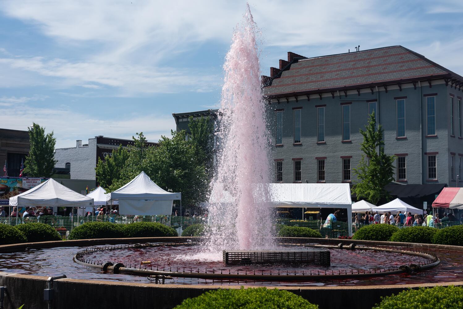 PHOTOS: Did we spot you at the Troy Strawberry Festival?