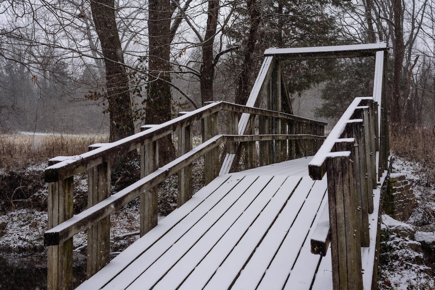 PHOTOS: 2025 Christmas on the Farm at Carriage Hill MetroPark
