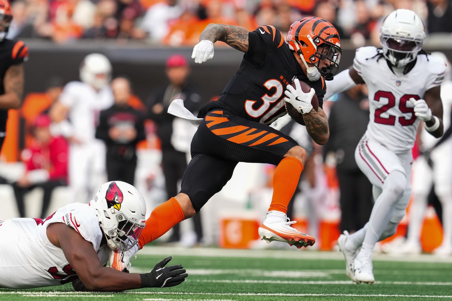 Cardinals Bengals Football