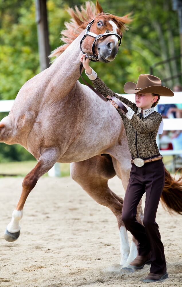 Llamas, goats and kids: 9 wacky images from the Warren County Fair