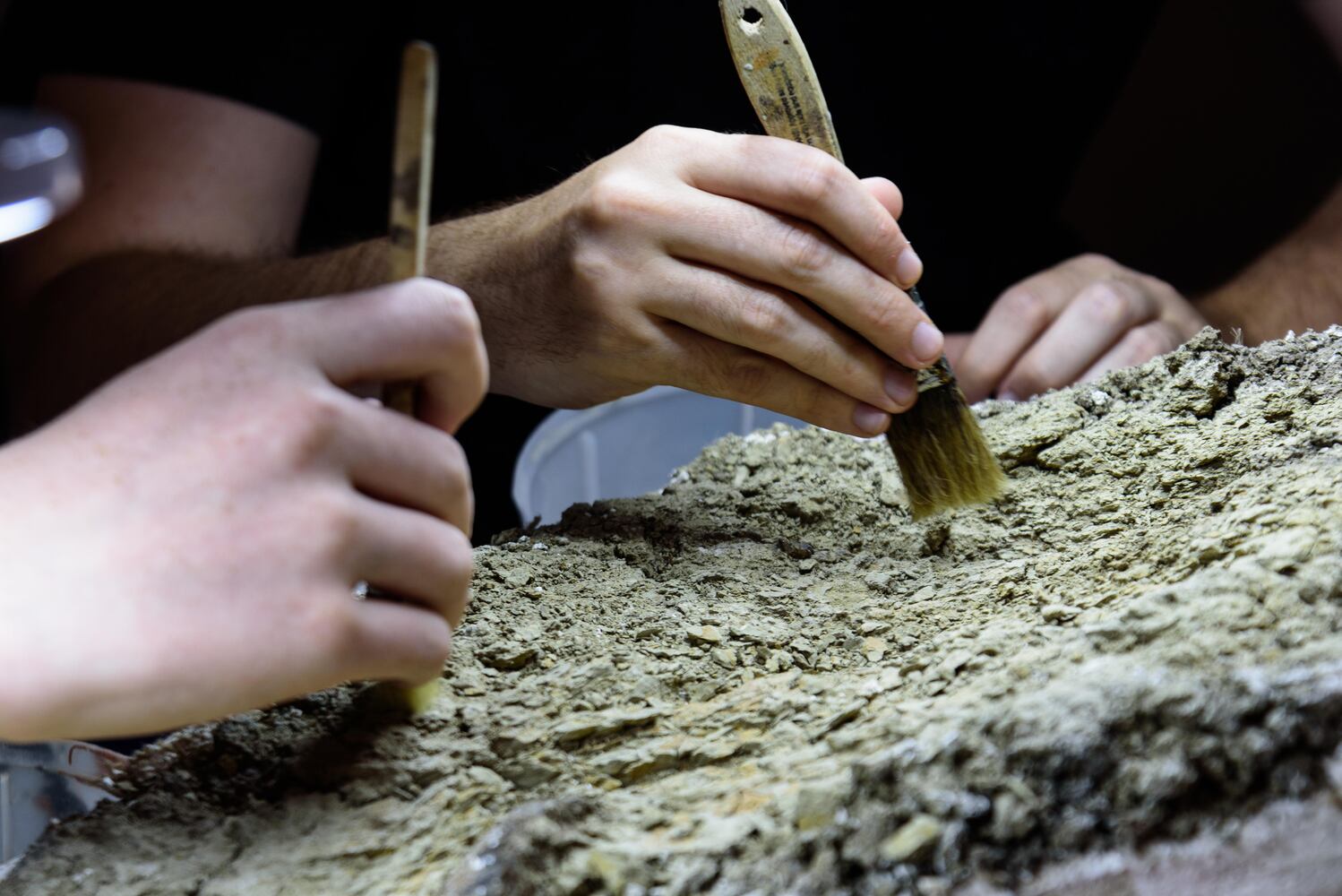 PHOTOS: Did we spot you at Eco Bash: Dayton's Dinosaur at the Boonshoft Museum of Discovery?