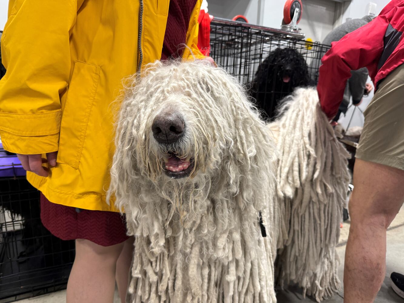 Fort St. Clair Kennel Club Dog Show