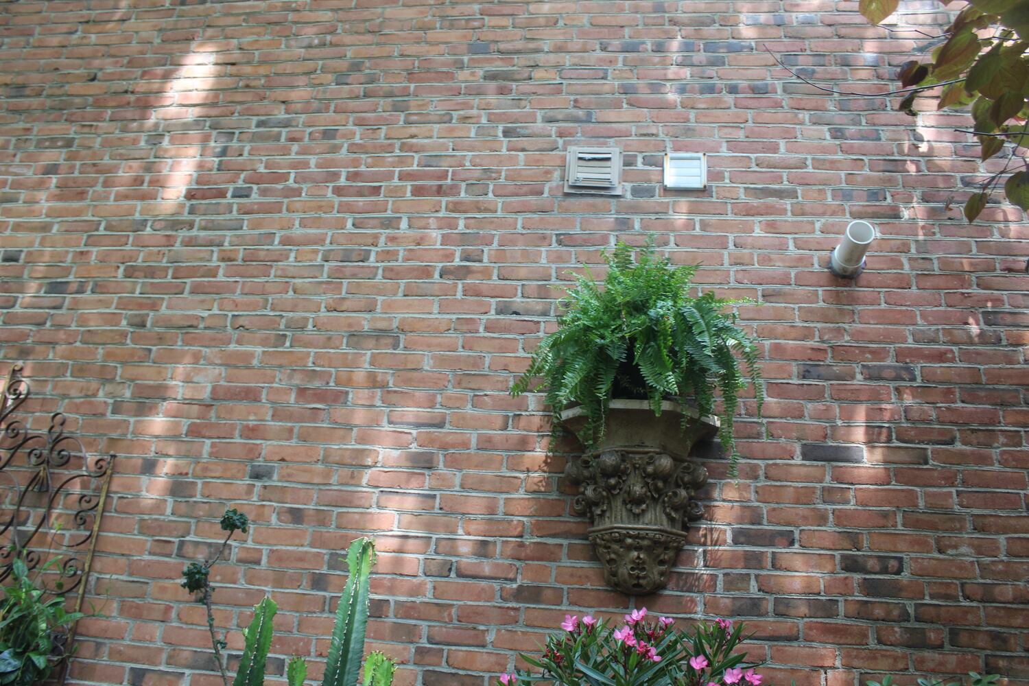 Josh Stucky's secret garden