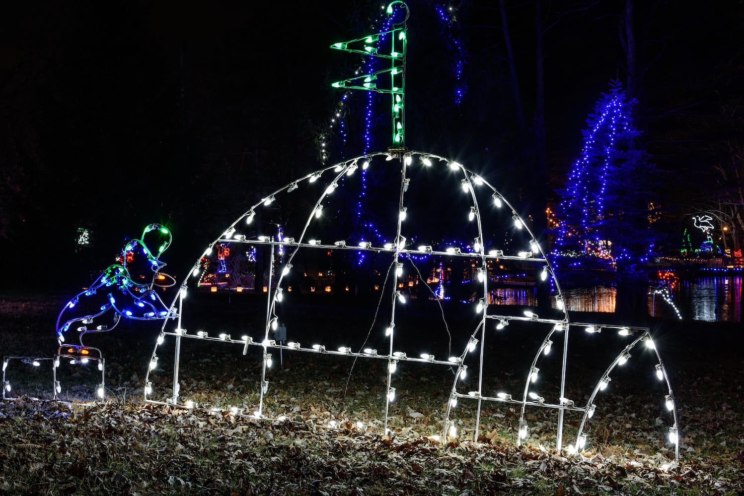 PHOTOS: A walk through Woodland Lights in Washington Township