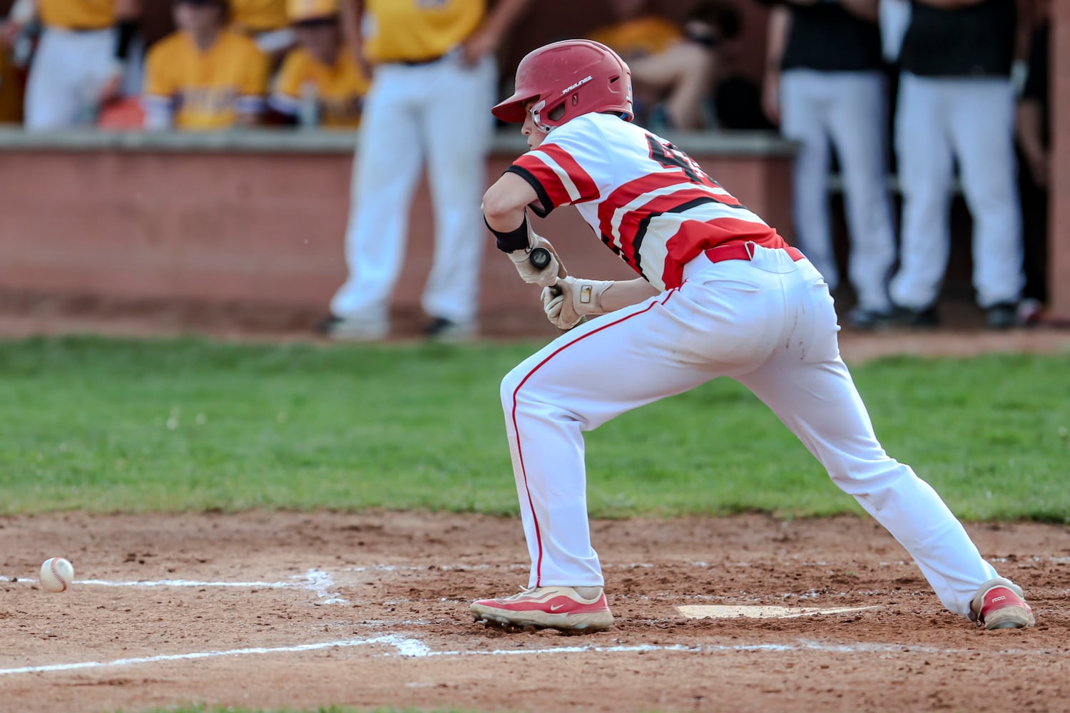 butler tipp baseball