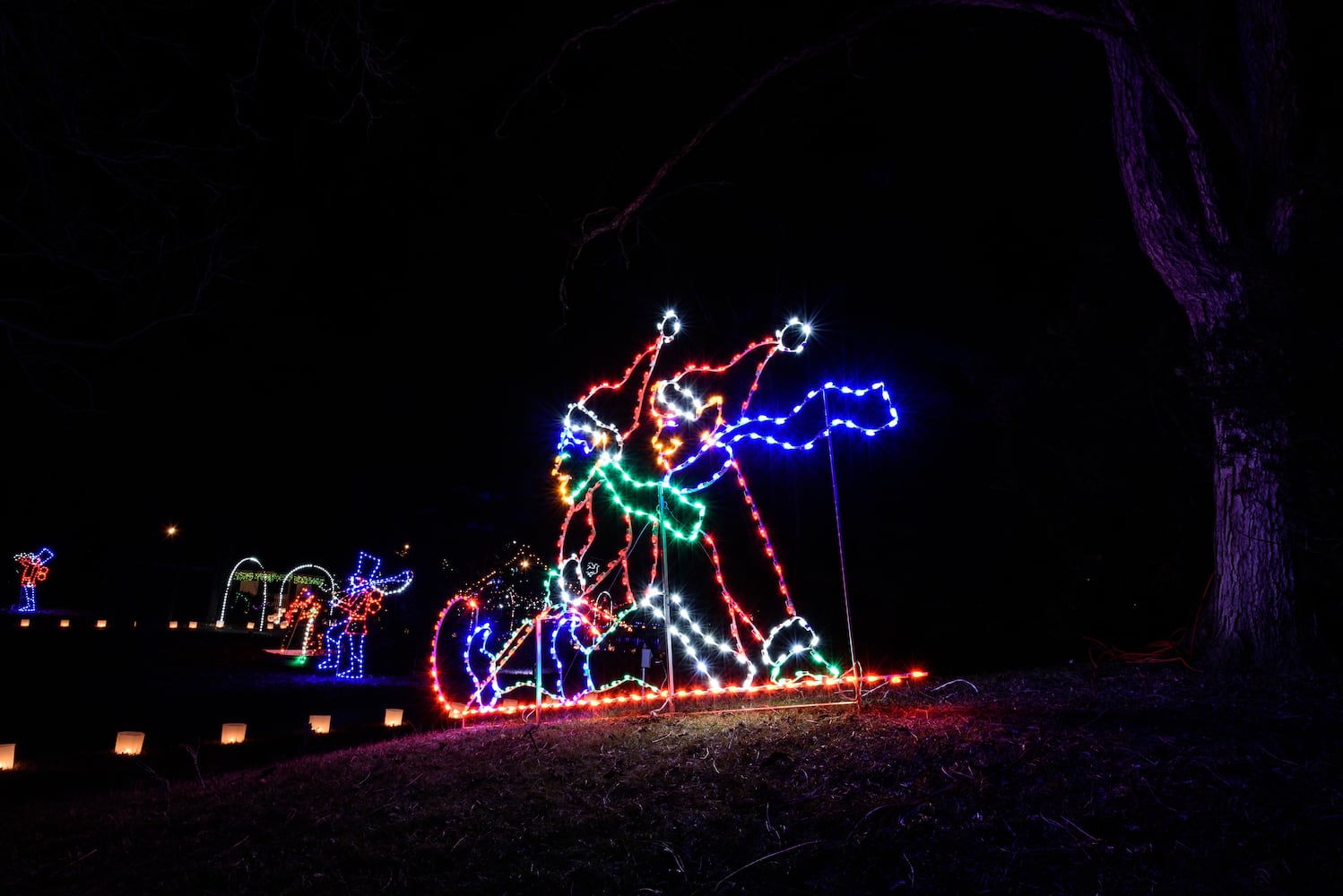 PHOTOS: A walk through Woodland Lights in Washington Township