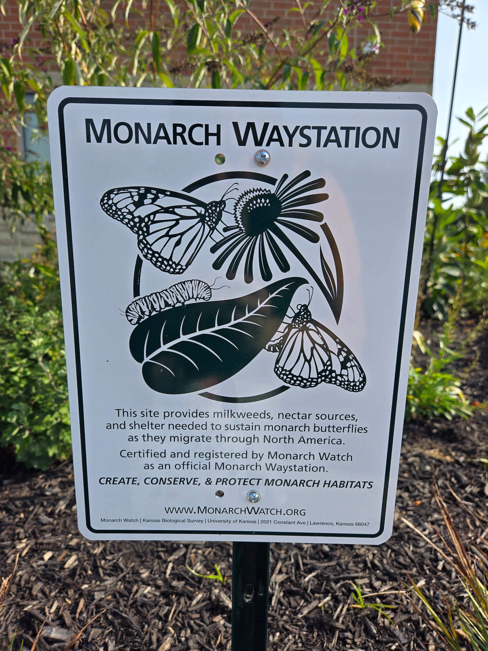 The garden at Trenton Family Medicine is officially recognized as a Monarch Waystation, a certification given to gardens that include the essential plants needed to support the monarch butterfly’s life cycle and migration. CONTRIBUTED
