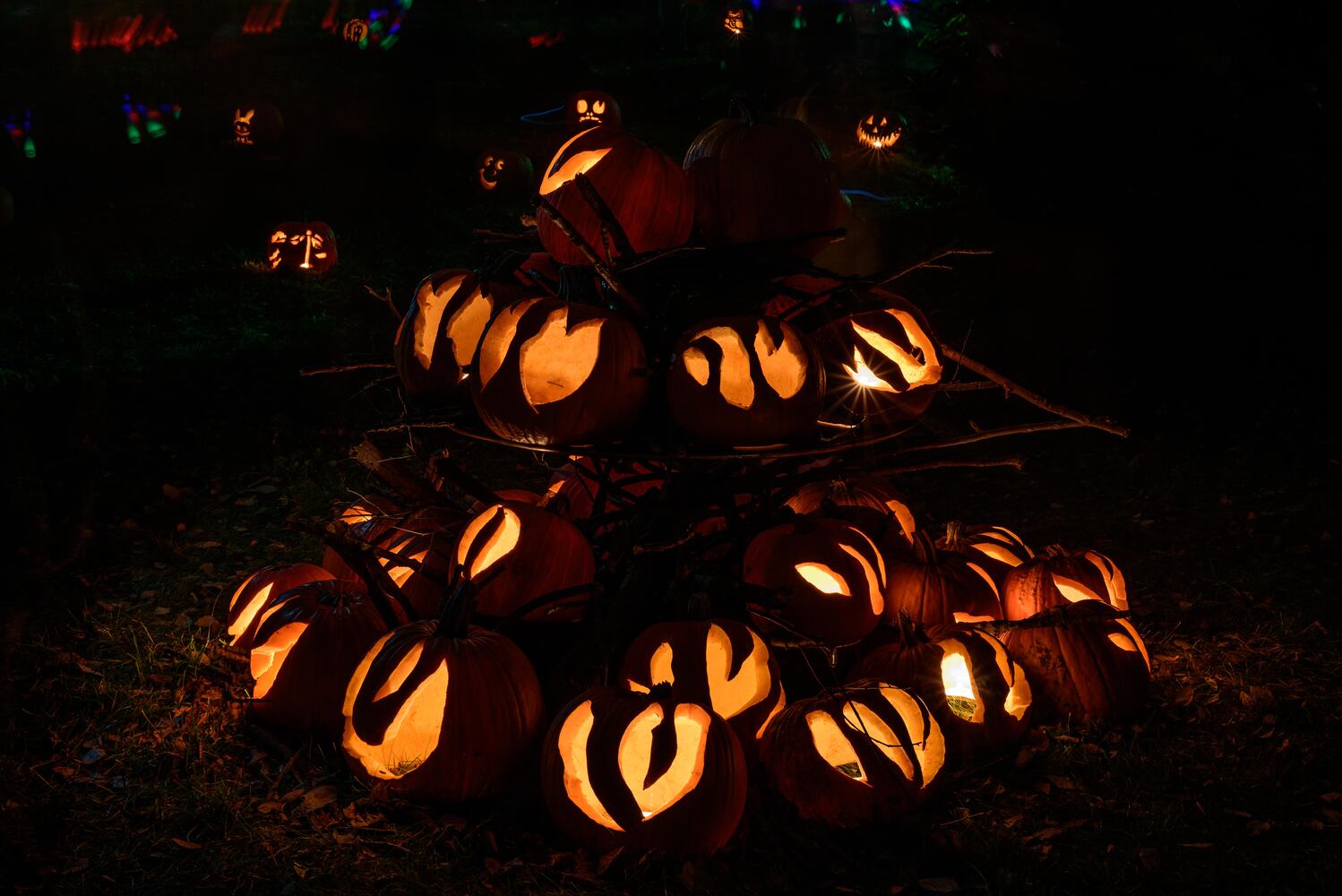 PHOTOS: The Stoddard Avenue Pumpkin Glow LIGHTS Dayton up for Halloween