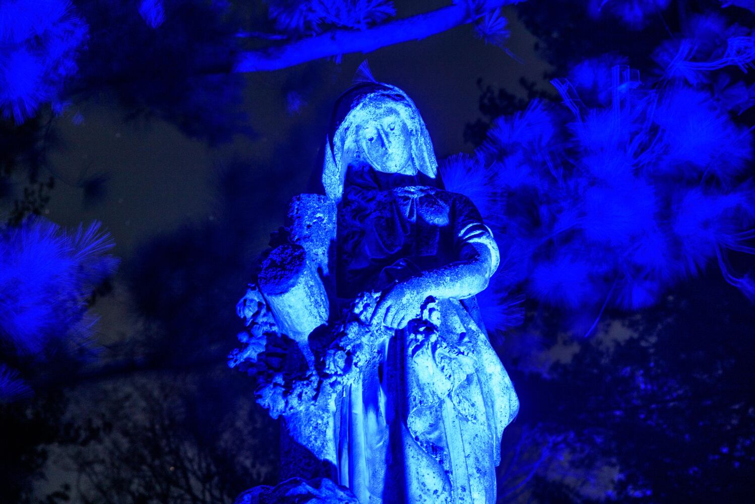 PHOTOS: Angel Night at Calvary Cemetery